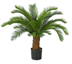 palm boom 84cm.jpg